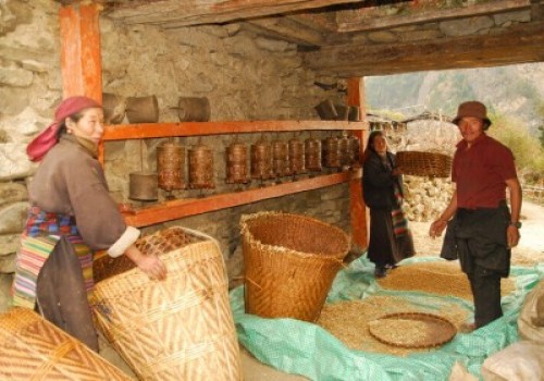 Local Lifestyle In Manaslu Region