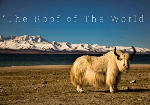 Trek Tibet