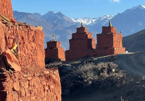 Upper Mustang vs Lower Mustang: Which One Is Right for You?