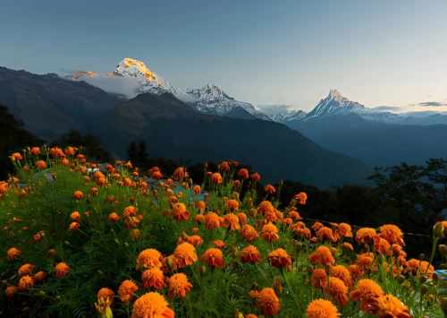 Dhaulagiri Region Trek