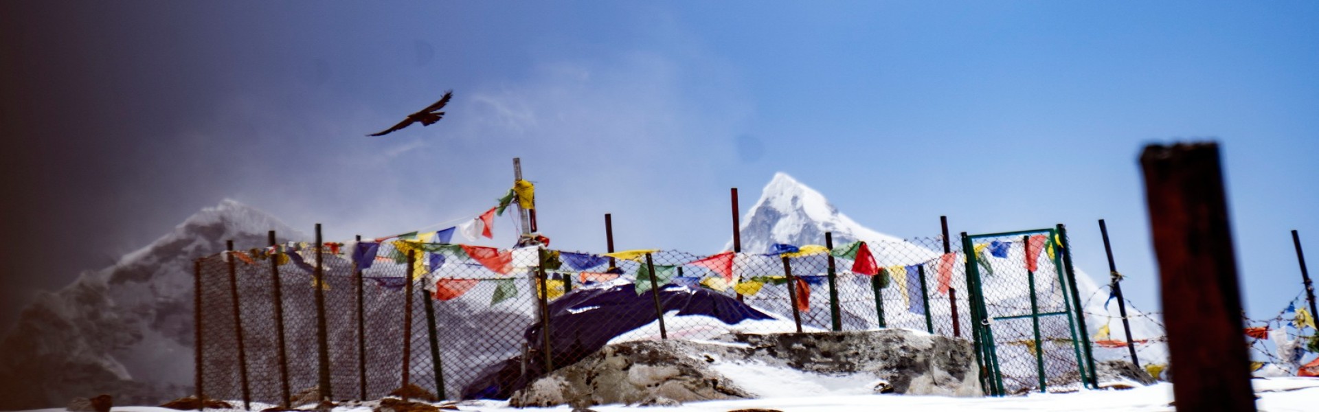 Cleaning Campaign Everest Base Camp Trek