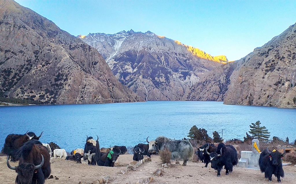 Lower Dolpo Trekking