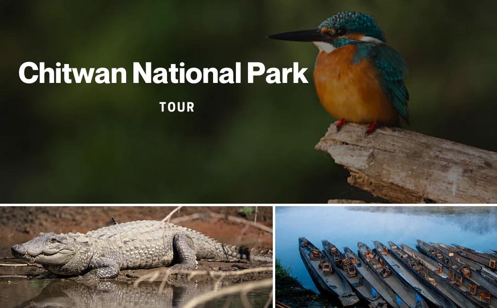 Chitwan National Park