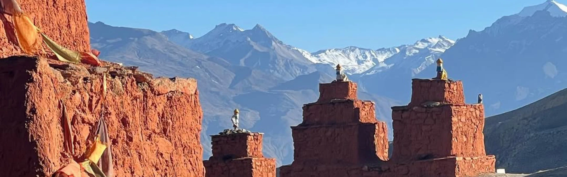 Upper Mustang vs Lower Mustang: Which One Is Right for You?