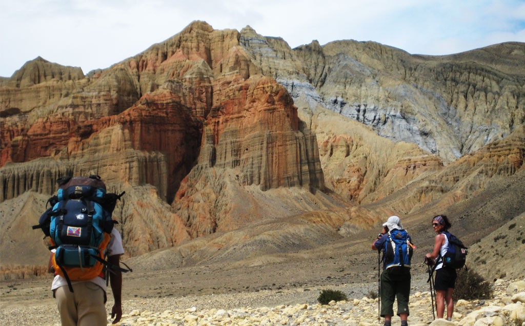 mustang trek