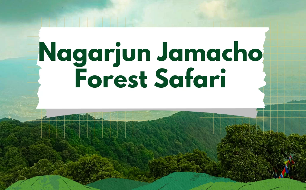 Nagarjun Jamacho Forest Safari