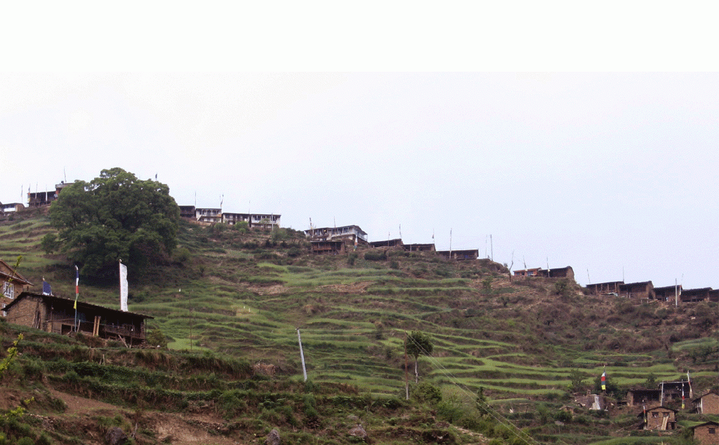 village in langtang region