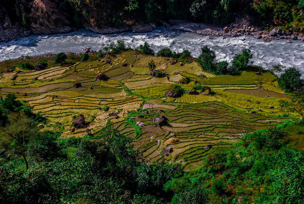 Terraced Farming