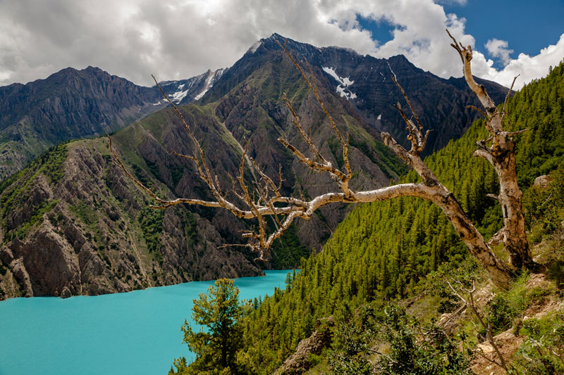 Phoksundo Lake