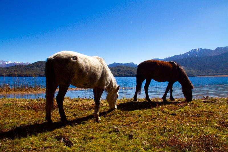 Rara Lake