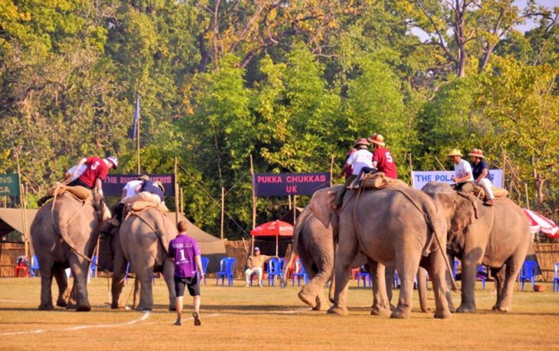 Elephant Polo in Nepal