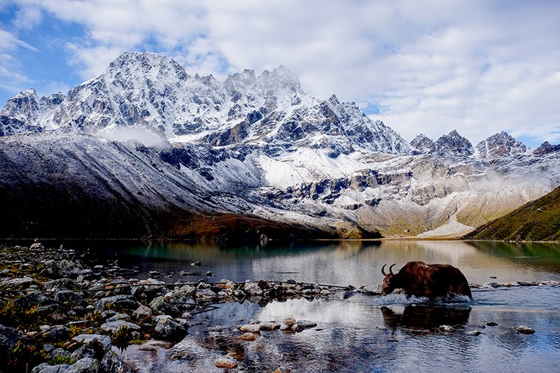 Gokyo Valley Rejo La Trekk - Best Alternative of Everest Base Camp Trekking