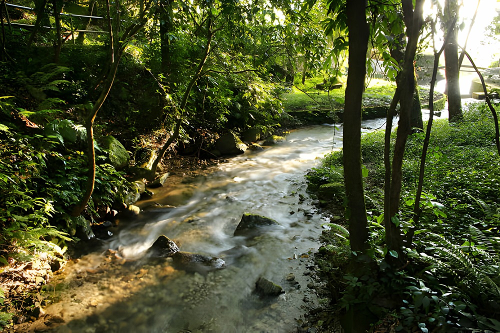 Shivapuri National Park