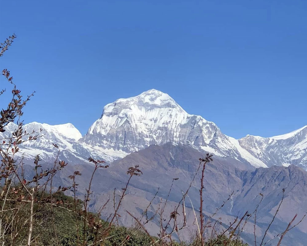 Ghorepani Trek