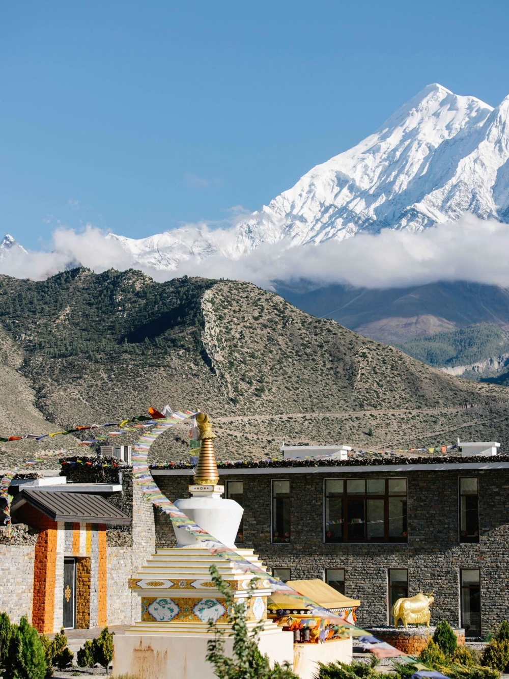 shintamani mustang nepal