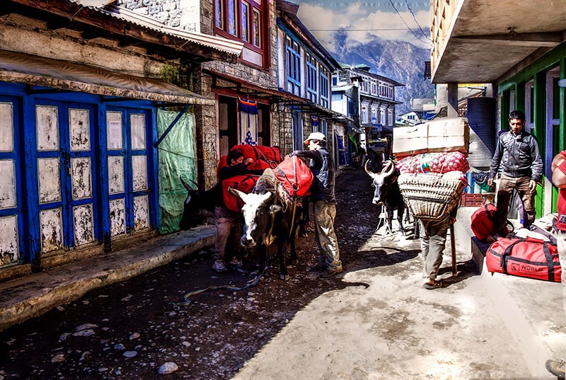 Local Porters Loading Luggage on Donkey