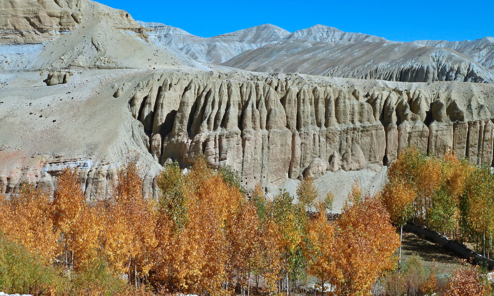 upper mustang