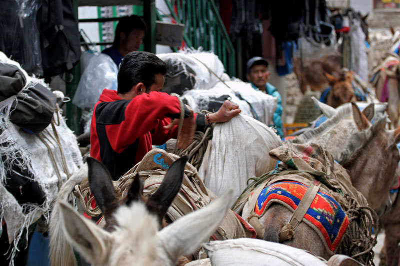 Local Lifestyle of Everest