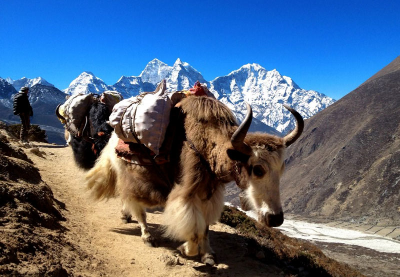 Sagarmatha National Park Everest Base Camp Trek