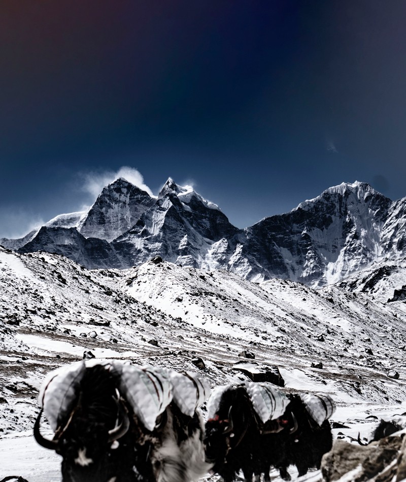 Everest Trekking During Summer