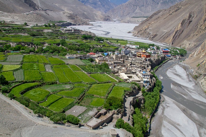 Natural Vegetation of Mustag Valley