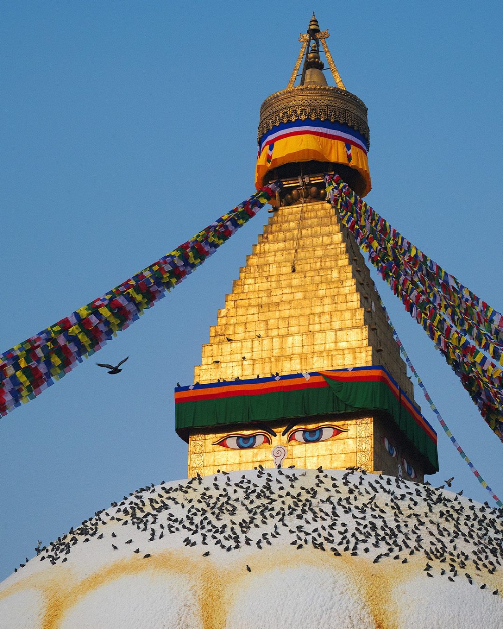 bouddha stupa