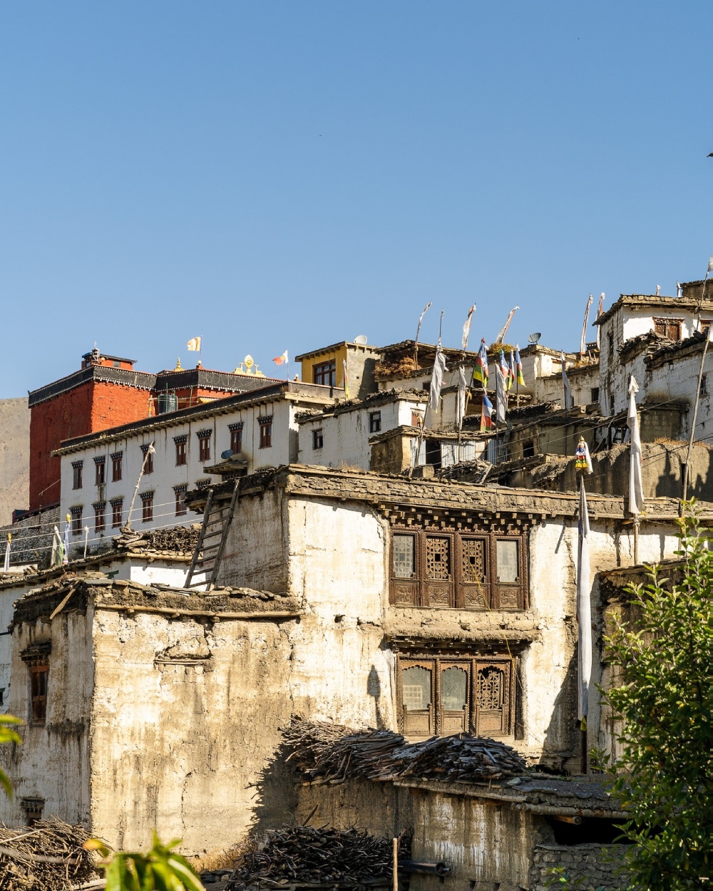 mustang thini village