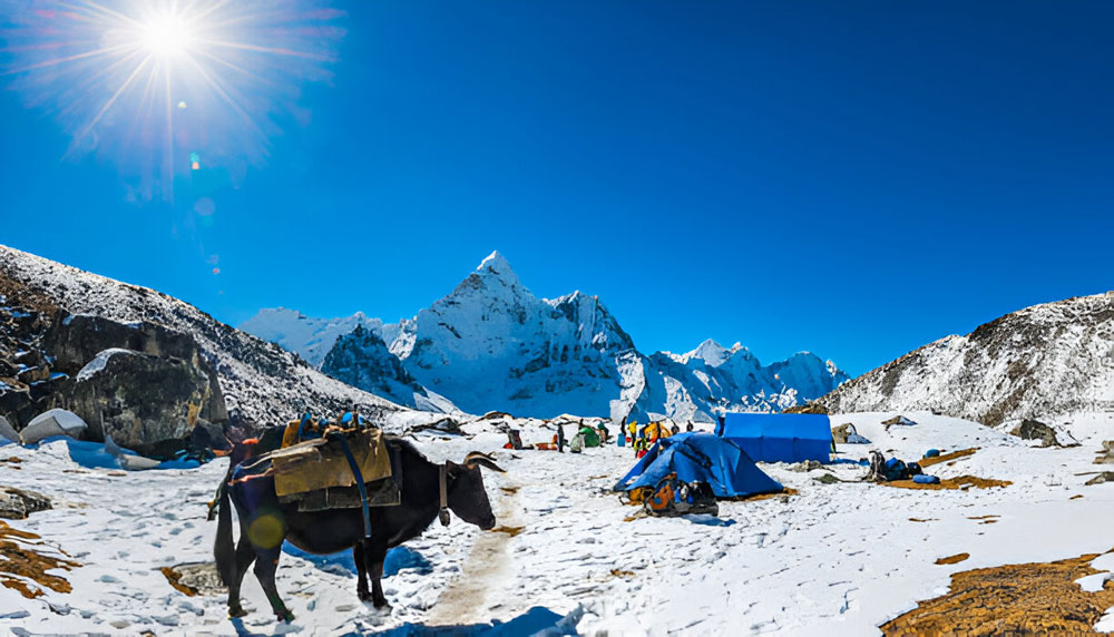 Accommodation at Ama Dablam Base Camp