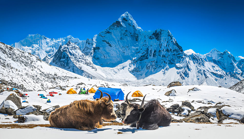 Ama Dablam Base camp