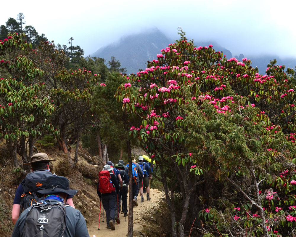 Luxury Everest Base Camp Trek 