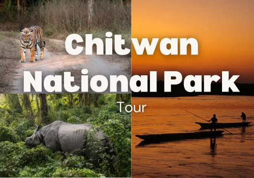 Chitwan National Park Tour