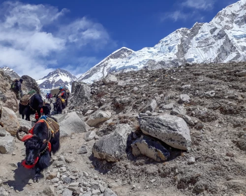  On The Way To Gorakshep