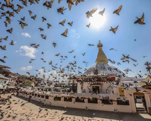  Bouddhanath