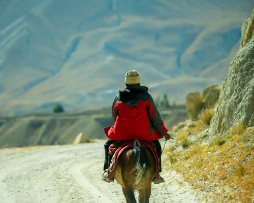 A Man Rides His Horse On The Mustang Track Road