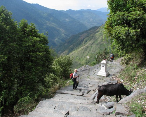 Downhill From Ghandruk
