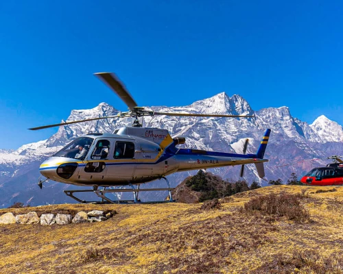 Everest View Hotel Landing
