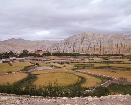Farm In Mustang