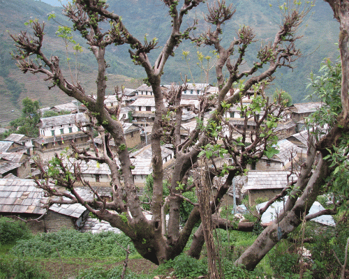 Ghandruk Village