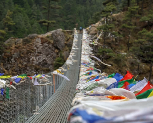 Larcha Dovan Hilary Suspension