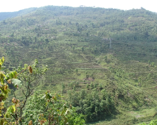 Monsoon Hill Shines During Annapurna Base Camp Trek