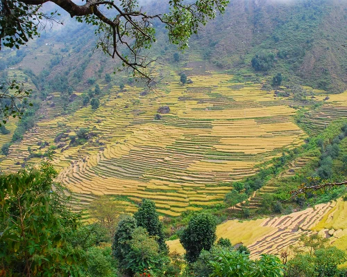 Mountain Field Farming