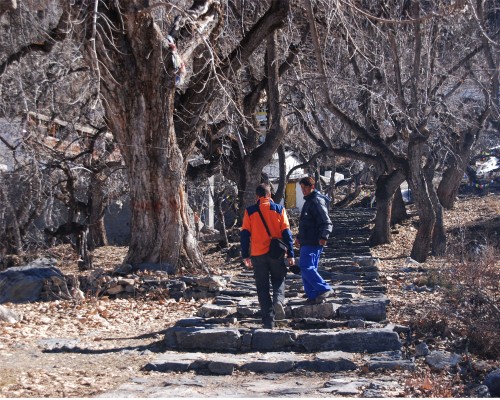 Muktinath Temple Trail