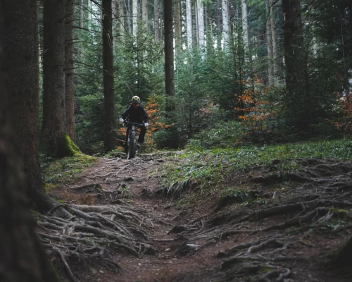 National Park Riding Trail