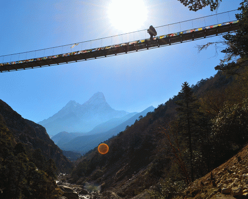 Porter Crossing Sunspension