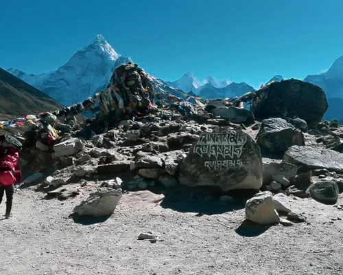 Porters Carrying Luggages