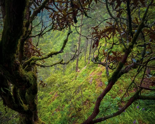 Sagarmatha National Park