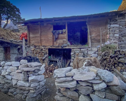 Students Live In These Houses Samagaon