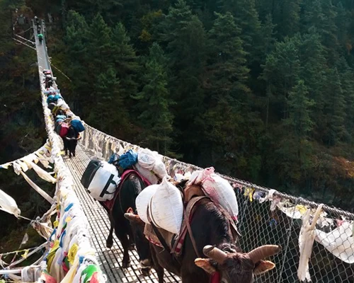Suspension Bridge Way To Namchhe