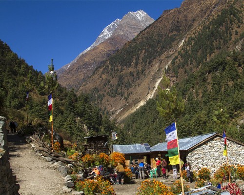 Tea House During Trek