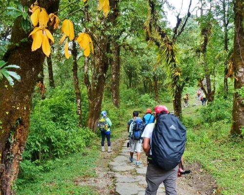 Trekking Route To Pikey Peak